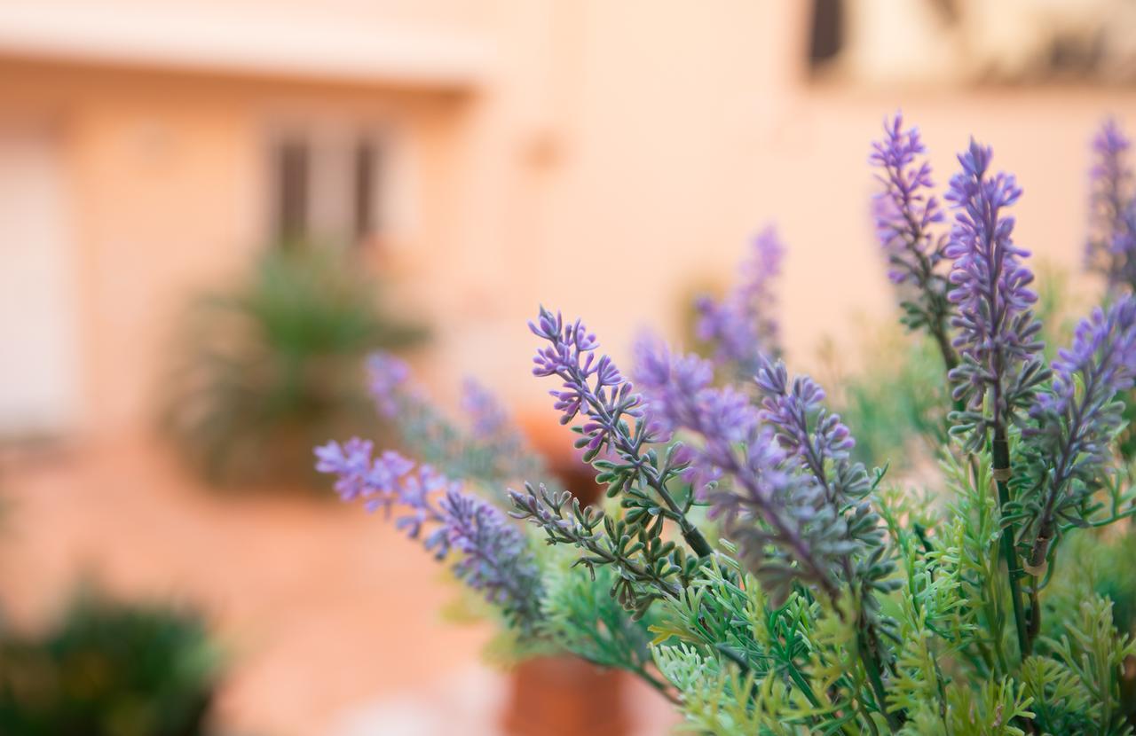 Ferienwohnung Il Cortile Delle Esperidi Lecce Exterior foto